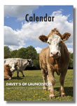 JDM calendar